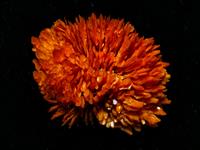 Crystals- Cream Of Tartar Calcium